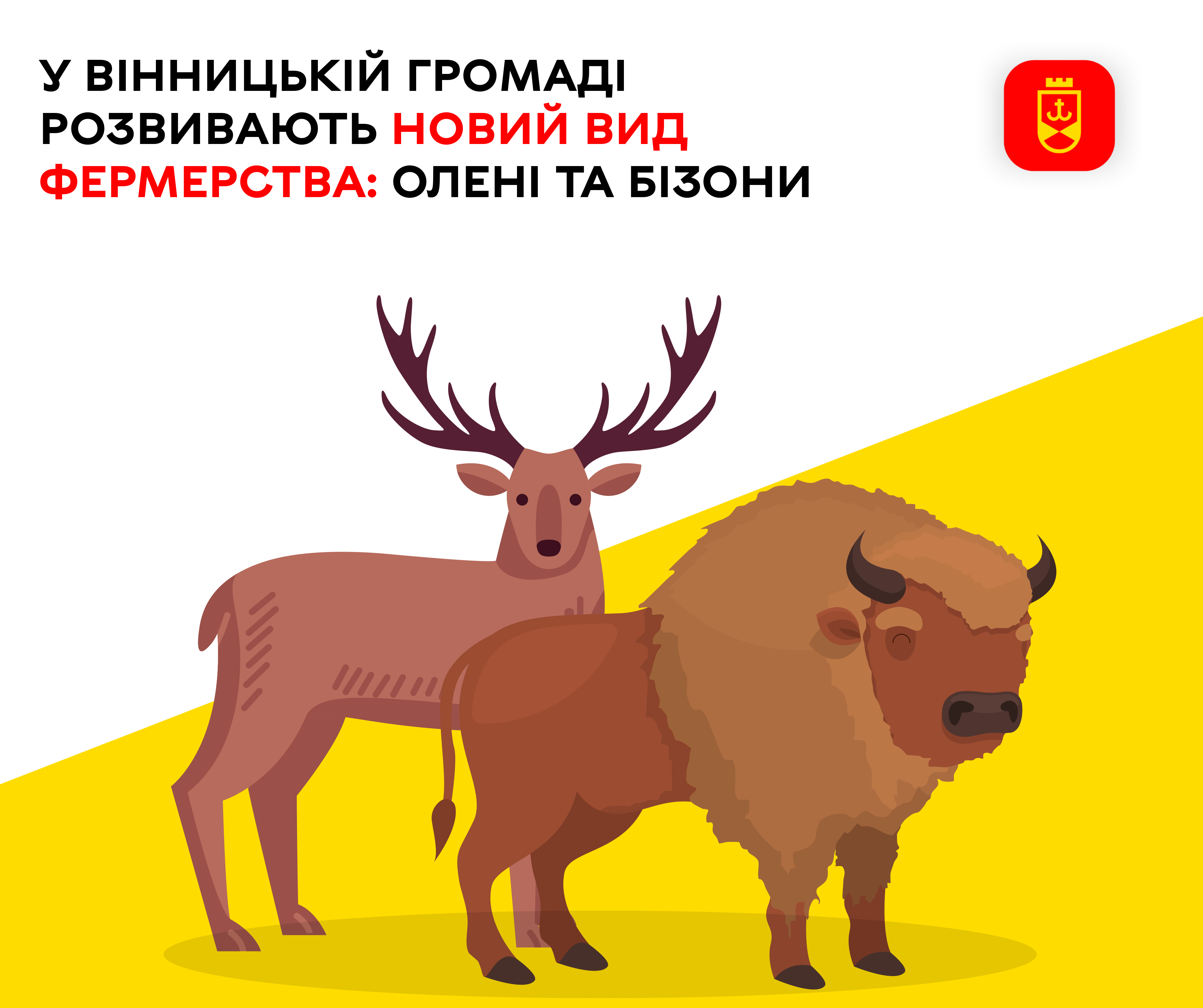 У Вінницькій громаді розвивають новий вид фермерства: олені та бізони